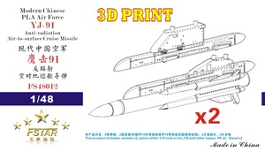 FS48012 1/48 Modern Chinese PLA Air Force YJ-91 Anti-radiation Missile with Pylons (2 pcs) 3D Print
